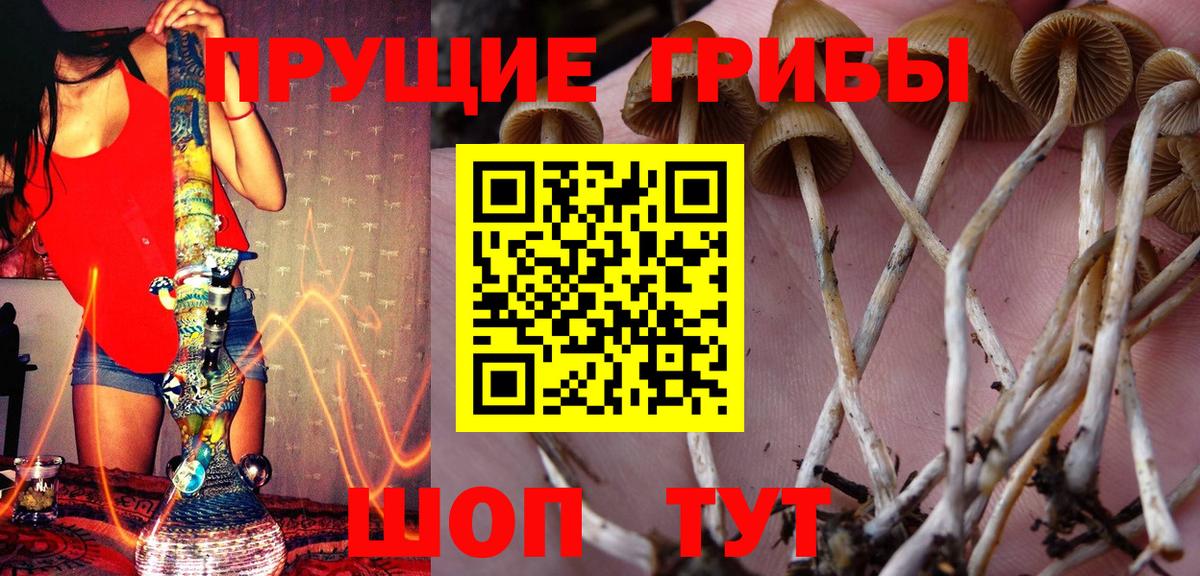 Псилоцибиновые грибы мухоморы  Вход с VPN  Урай  Псилоцибиновые грибы Cubensis 